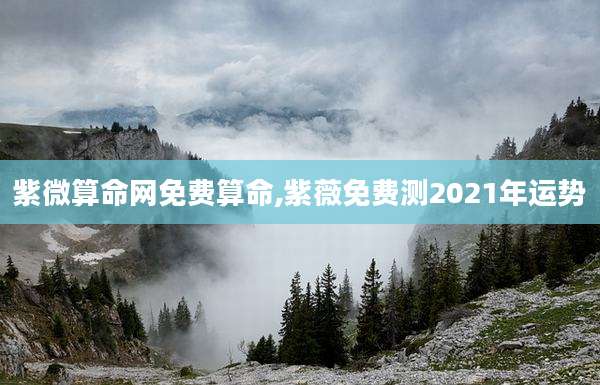 紫微算命网免费算命,紫薇免费测2021年运势