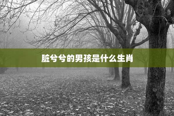 脏兮兮的男孩是什么生肖