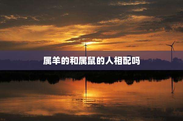 属羊的和属鼠的人相配吗