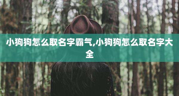 小狗狗怎么取名字霸气,小狗狗怎么取名字大全
