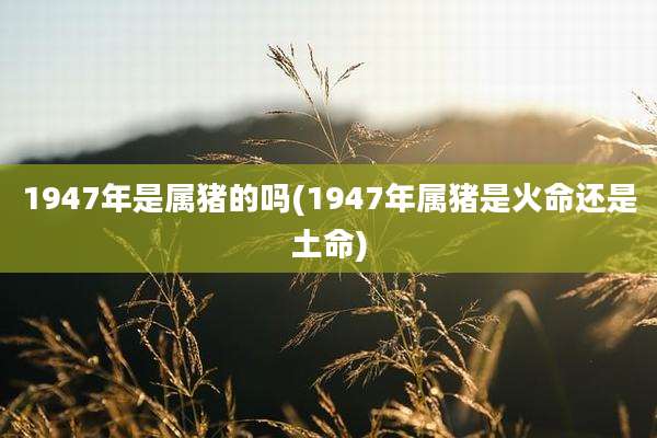 1947年是属猪的吗(1947年属猪是火命还是土命)