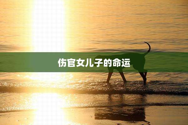 伤官女儿子的命运