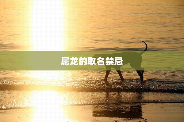 属龙的取名禁忌