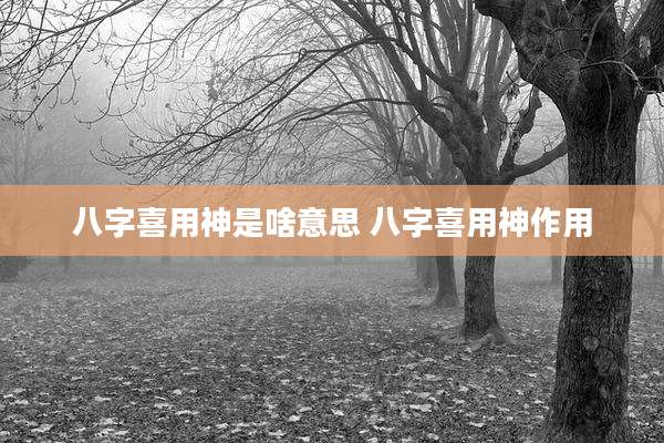 八字喜用神是啥意思 八字喜用神作用