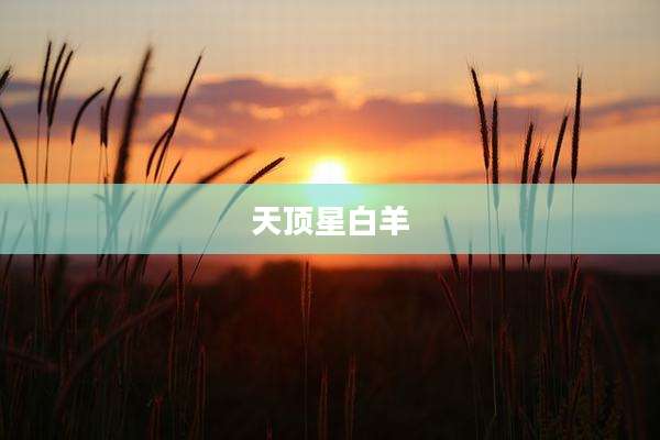 天顶星白羊