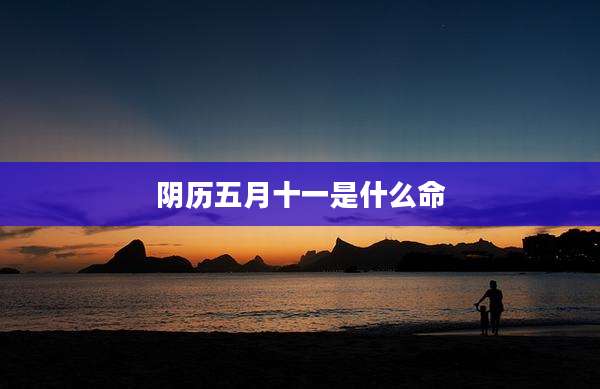阴历五月十一是什么命