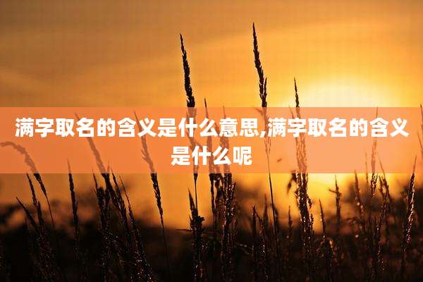满字取名的含义是什么意思,满字取名的含义是什么呢