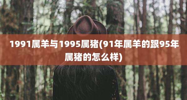 1991属羊与1995属猪(91年属羊的跟95年属猪的怎么样)