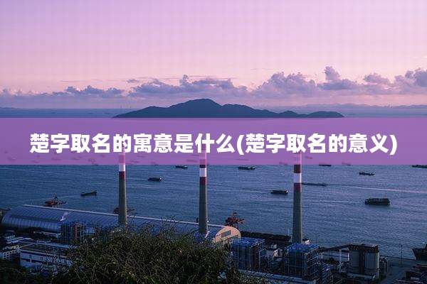 楚字取名的寓意是什么(楚字取名的意义)