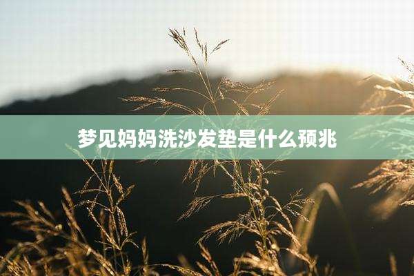 梦见妈妈洗沙发垫是什么预兆