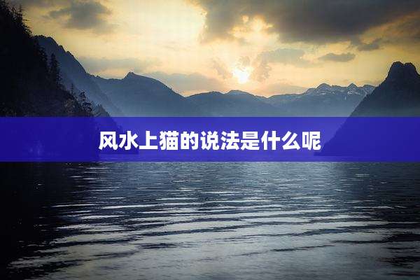 风水上猫的说法是什么呢