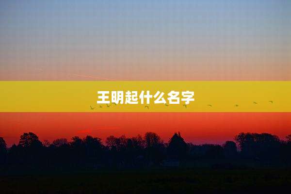 王明起什么名字