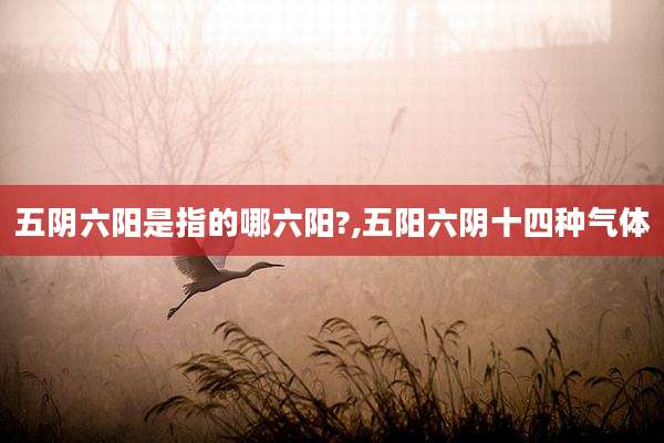 五阴六阳是指的哪六阳?,五阳六阴十四种气体