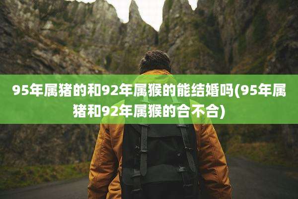 95年属猪的和92年属猴的能结婚吗(95年属猪和92年属猴的合不合)