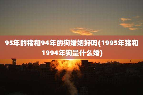 95年的猪和94年的狗婚姻好吗(1995年猪和1994年狗是什么婚)