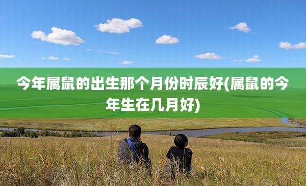 今年属鼠的出生那个月份时辰好(属鼠的今年生在几月好)