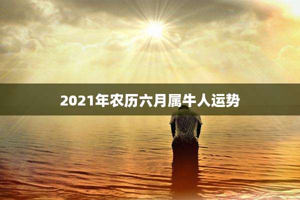 2021年农历六月属牛人运势