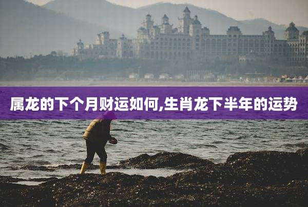 属龙的下个月财运如何,生肖龙下半年的运势