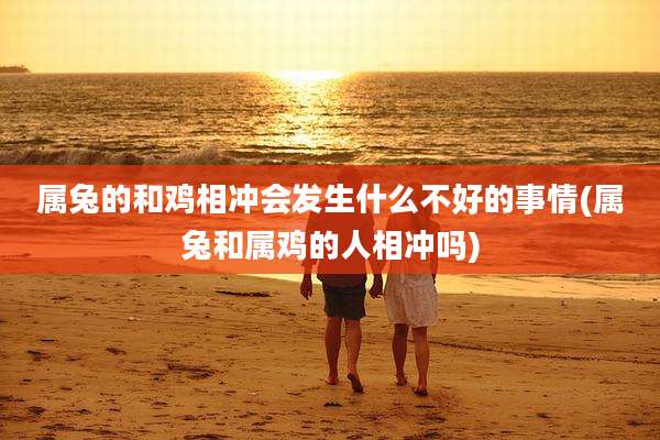 属兔的和鸡相冲会发生什么不好的事情(属兔和属鸡的人相冲吗)
