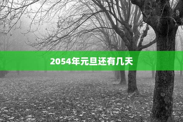 2054年元旦还有几天