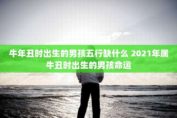 牛年丑时出生的男孩五行缺什么 2021年属牛丑时出生的男孩命运