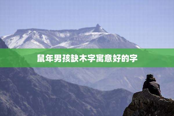 鼠年男孩缺木字寓意好的字