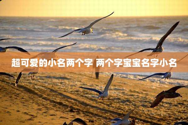 超可爱的小名两个字 两个字宝宝名字小名