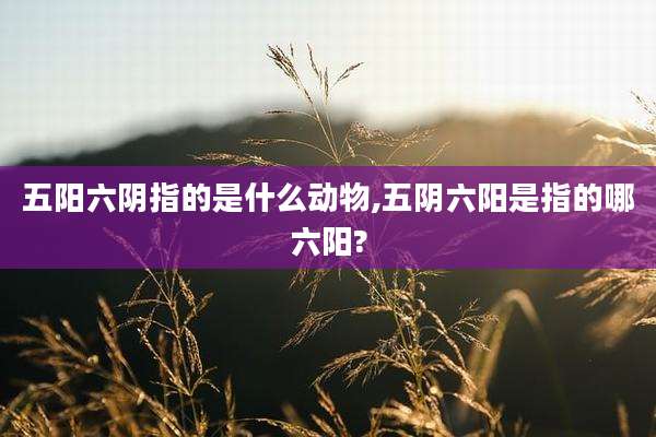 五阳六阴指的是什么动物,五阴六阳是指的哪六阳?