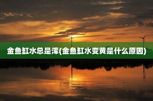 金鱼缸水总是浑(金鱼缸水变黄是什么原因)