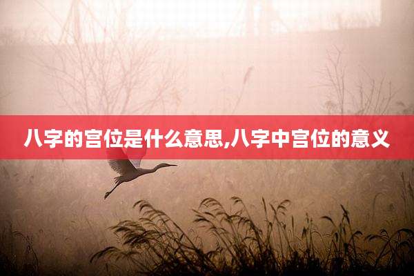 八字的宫位是什么意思,八字中宫位的意义