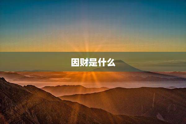 因财是什么