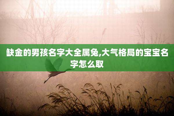 缺金的男孩名字大全属兔,大气格局的宝宝名字怎么取