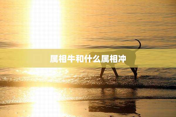 属相牛和什么属相冲