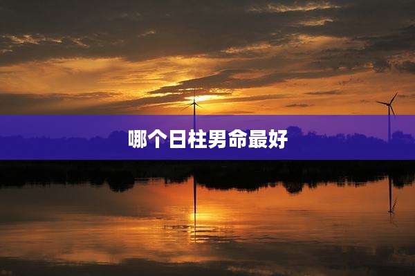 哪个日柱男命最好