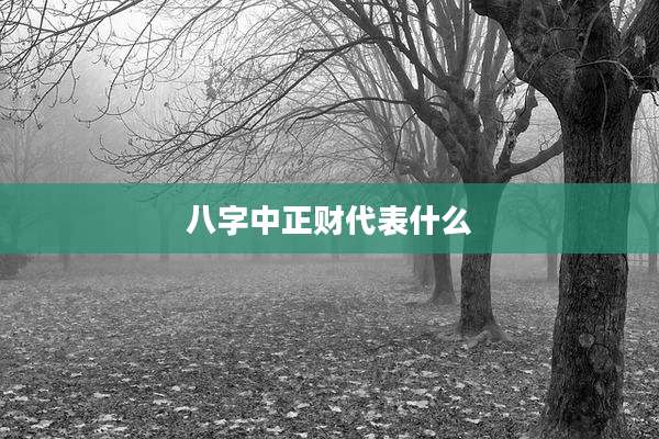 八字中正财代表什么