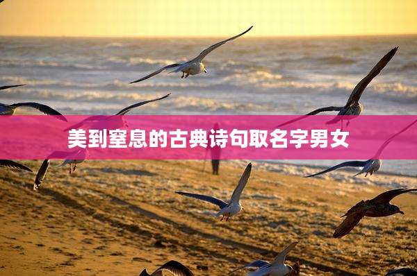 美到窒息的古典诗句取名字男女