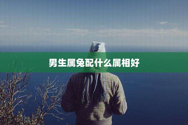 男生属兔配什么属相好