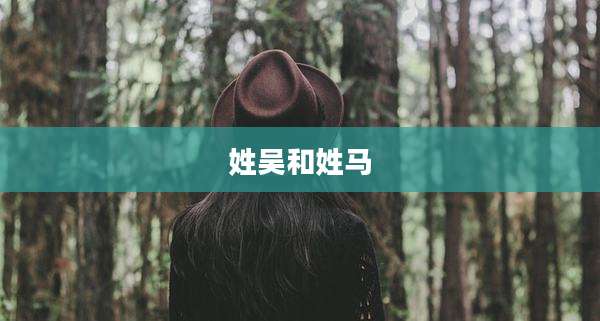 姓吴和姓马
