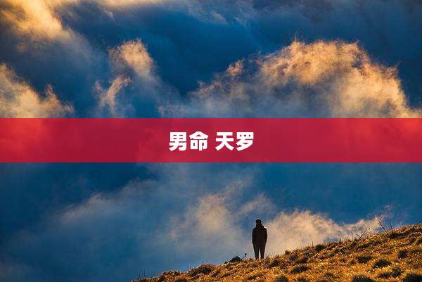 男命 天罗
