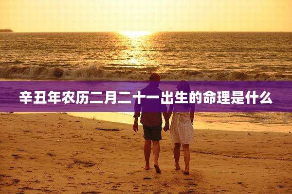 辛丑年农历二月二十一出生的命理是什么