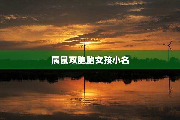 属鼠双胞胎女孩小名
