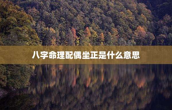 八字命理配偶坐正是什么意思