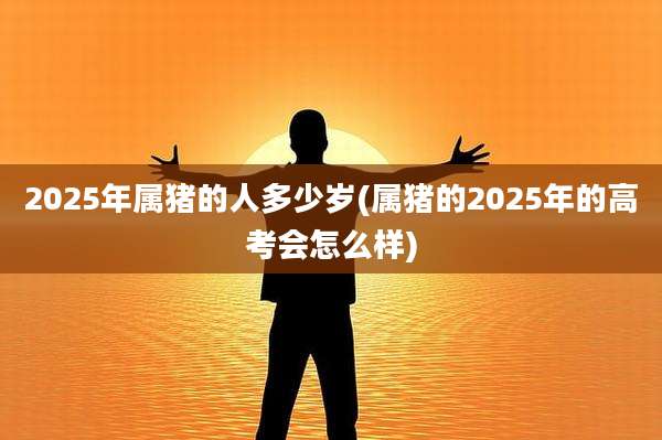 2025年属猪的人多少岁(属猪的2025年的高考会怎么样)