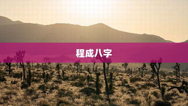 程成八字