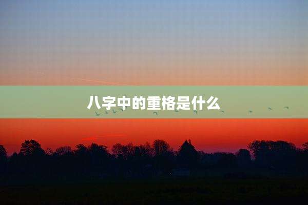 八字中的重格是什么
