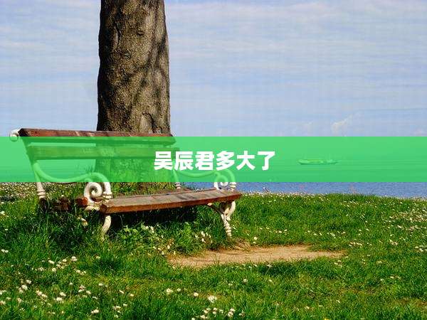 吴辰君多大了