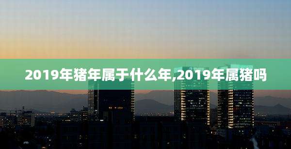 2019年猪年属于什么年,2019年属猪吗