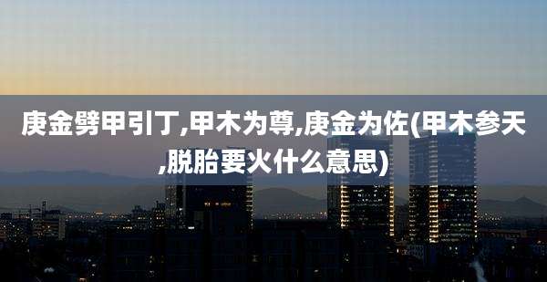庚金劈甲引丁,甲木为尊,庚金为佐(甲木参天,脱胎要火什么意思)