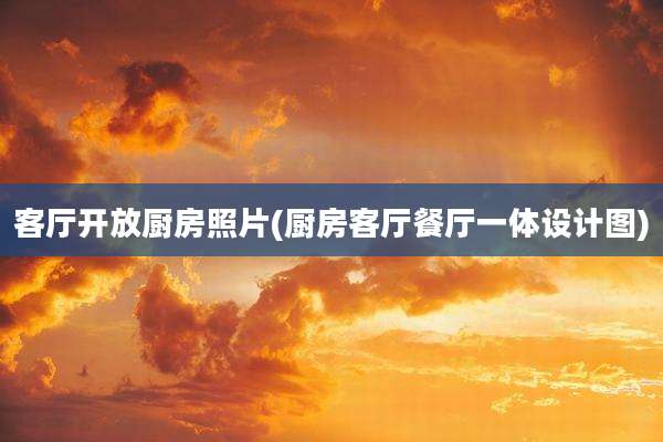 客厅开放厨房照片(厨房客厅餐厅一体设计图)