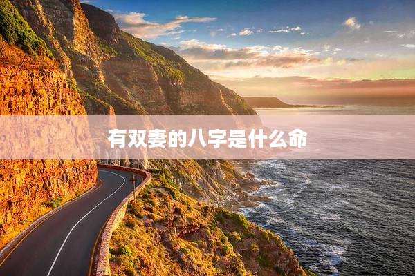 有双妻的八字是什么命